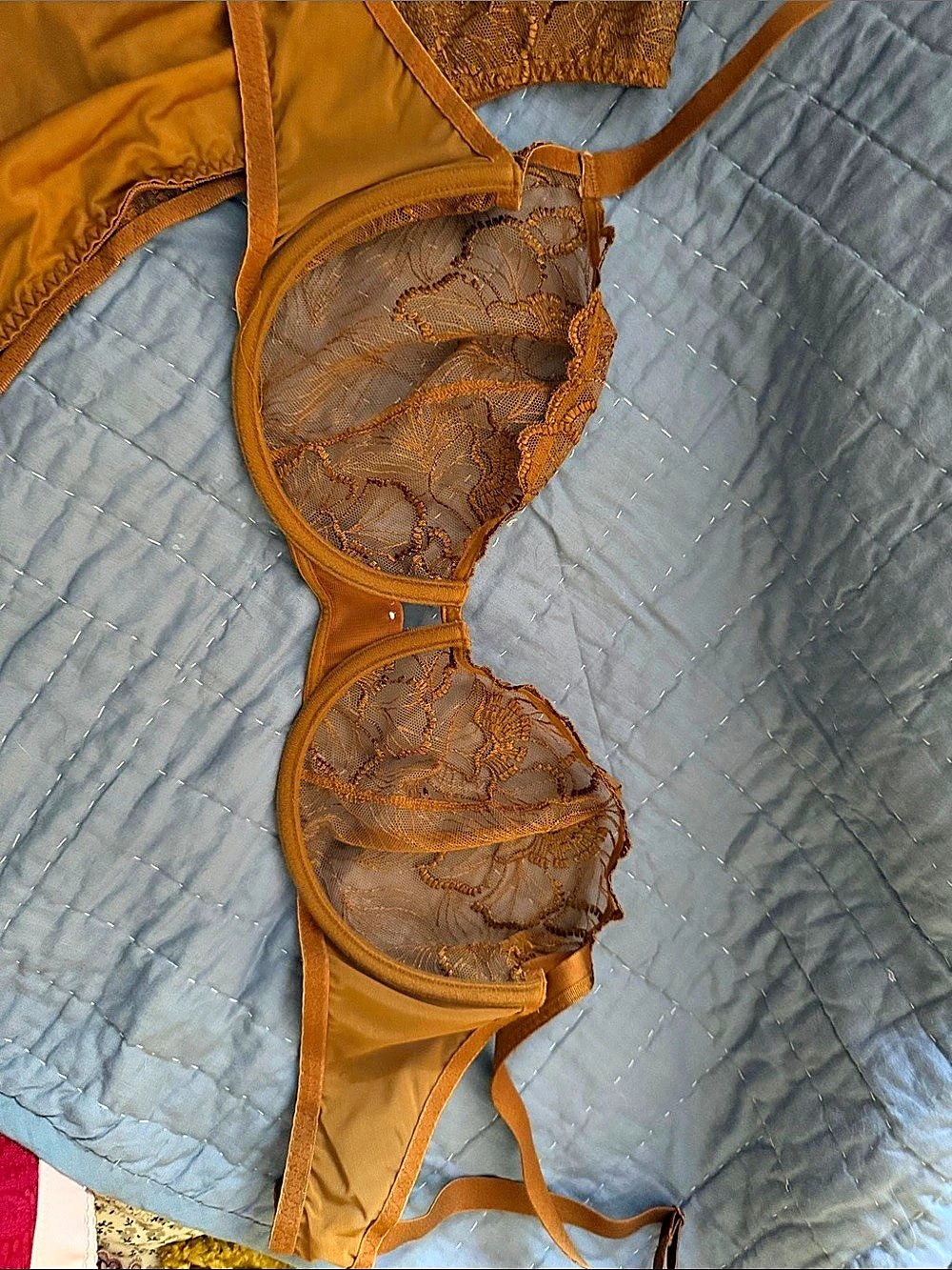 Maison Lejaby bronze Flora Demi-Cup Bra and thong Brief Set Orange 36D/XL - Picture 8 of 11